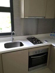 Blossom Residences (D23), Condominium #535756271